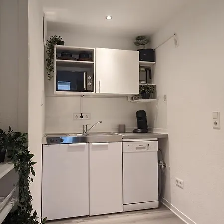 An Der Historischen Stadtmauer 公寓 *