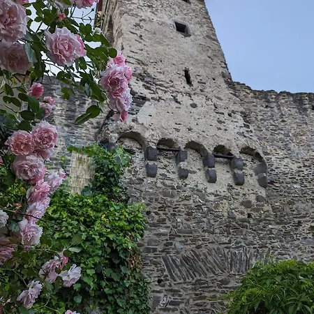 An Der Historischen Stadtmauer Apartamento Cochem