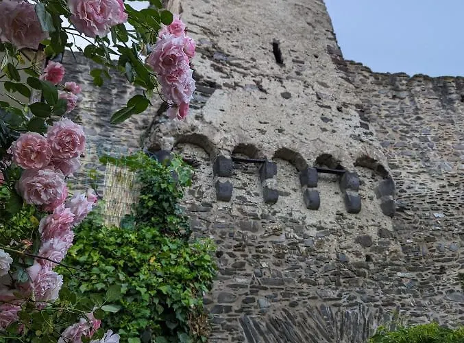 An Der Historischen Stadtmauer Apartment Cochem